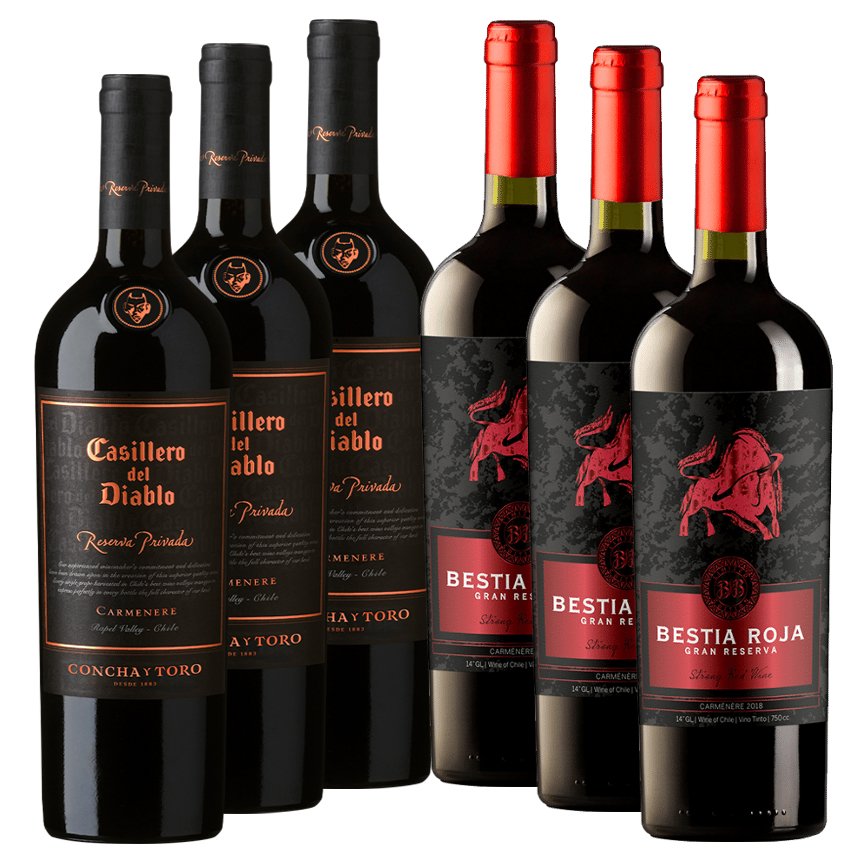 Pack 6 vinos Carmenere