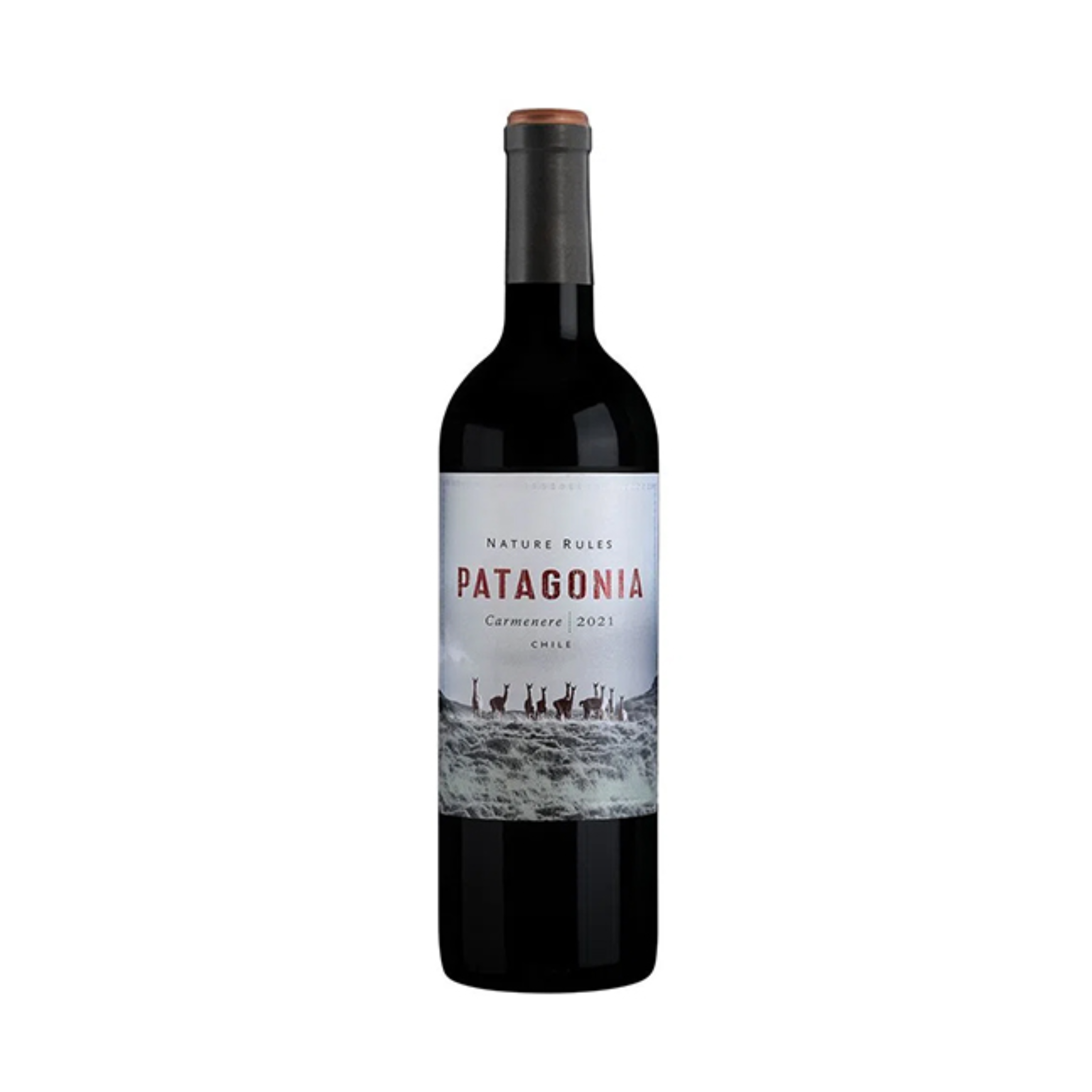 patagonia Carmenere