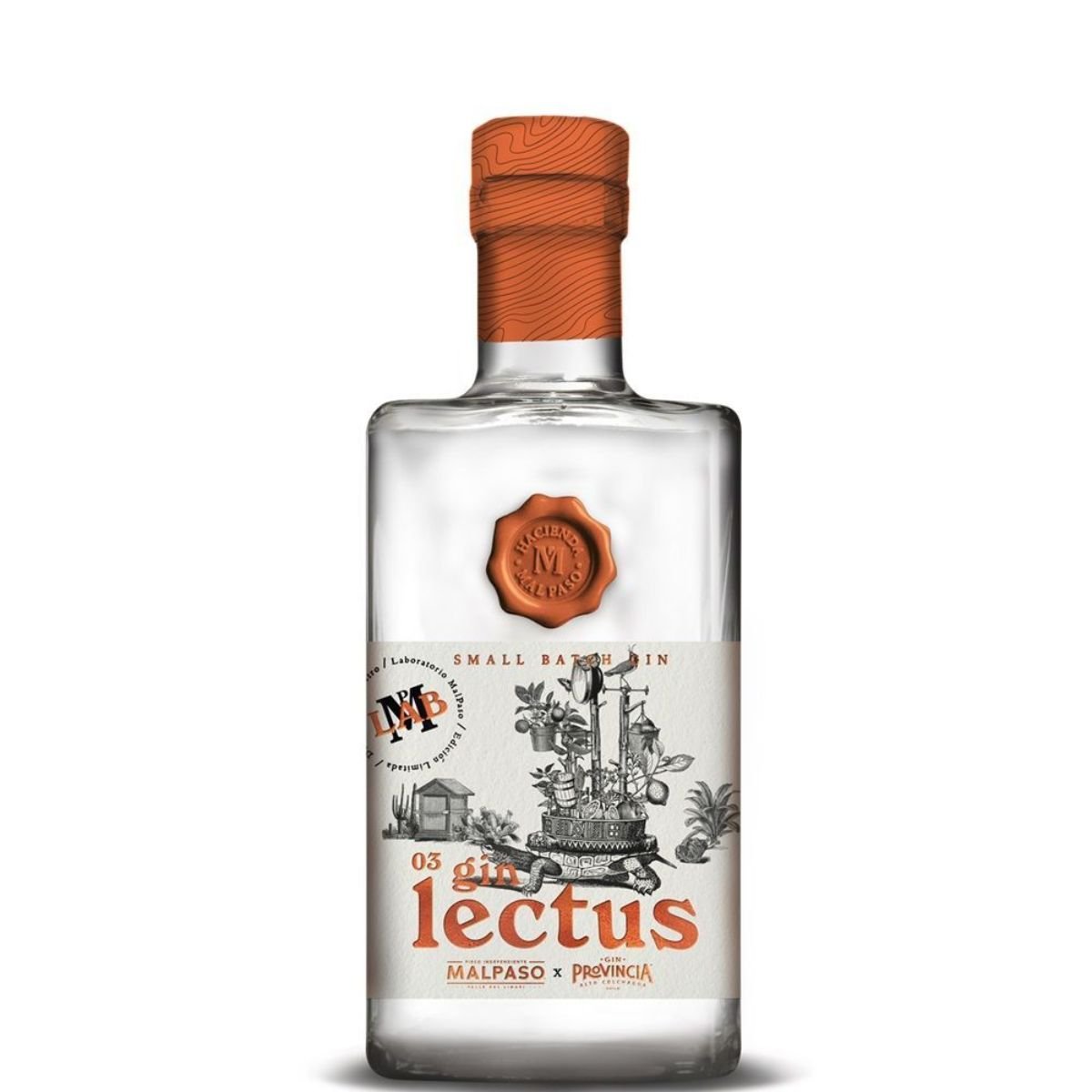 Gin Lectus