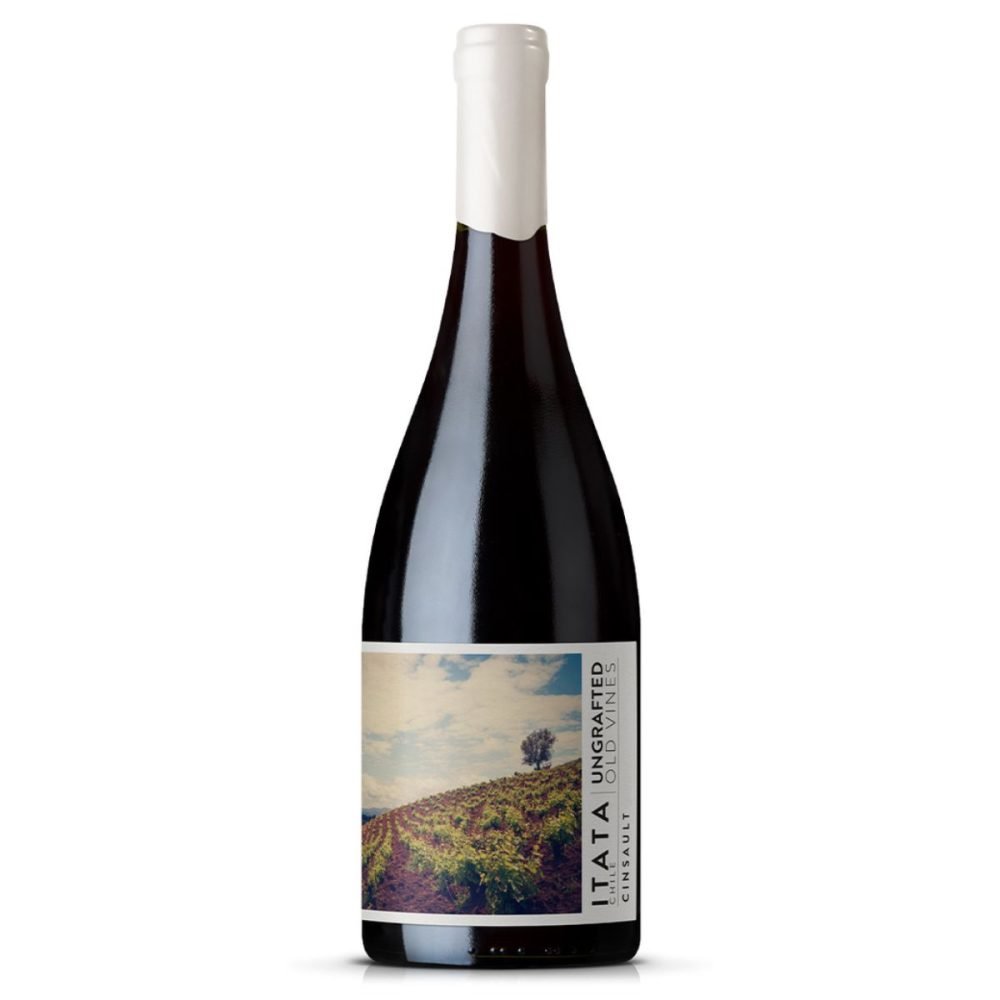 De Martino Ungrafted Cinsault
