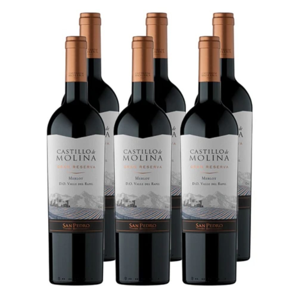 6 Vino Castillo de Molina Gran reserva Merlot 750cc