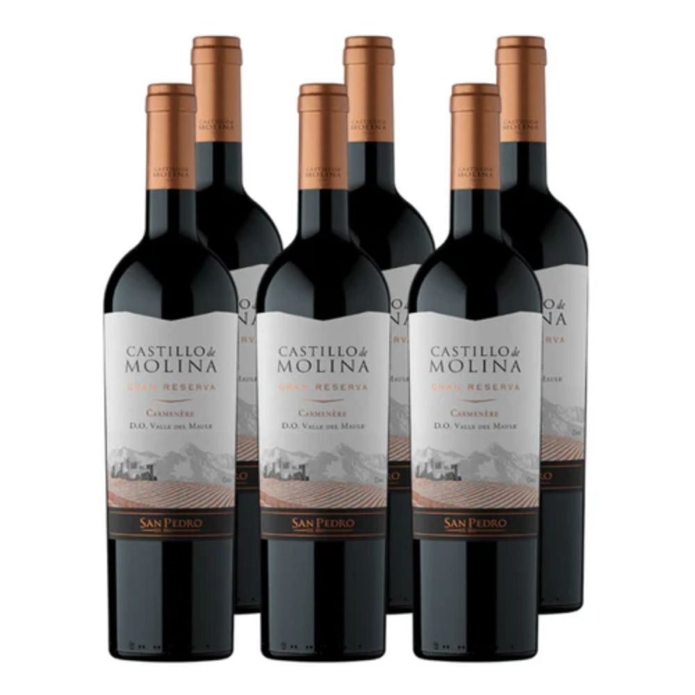 6 Vino Castillo de Molina Gran Reserva Carmenere 750cc
